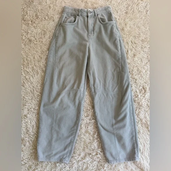 BDG Urban Outfitters Logan Corduroy Carpenter Pants W27 L32 Blue Gray barrel - Picture 1 of 7